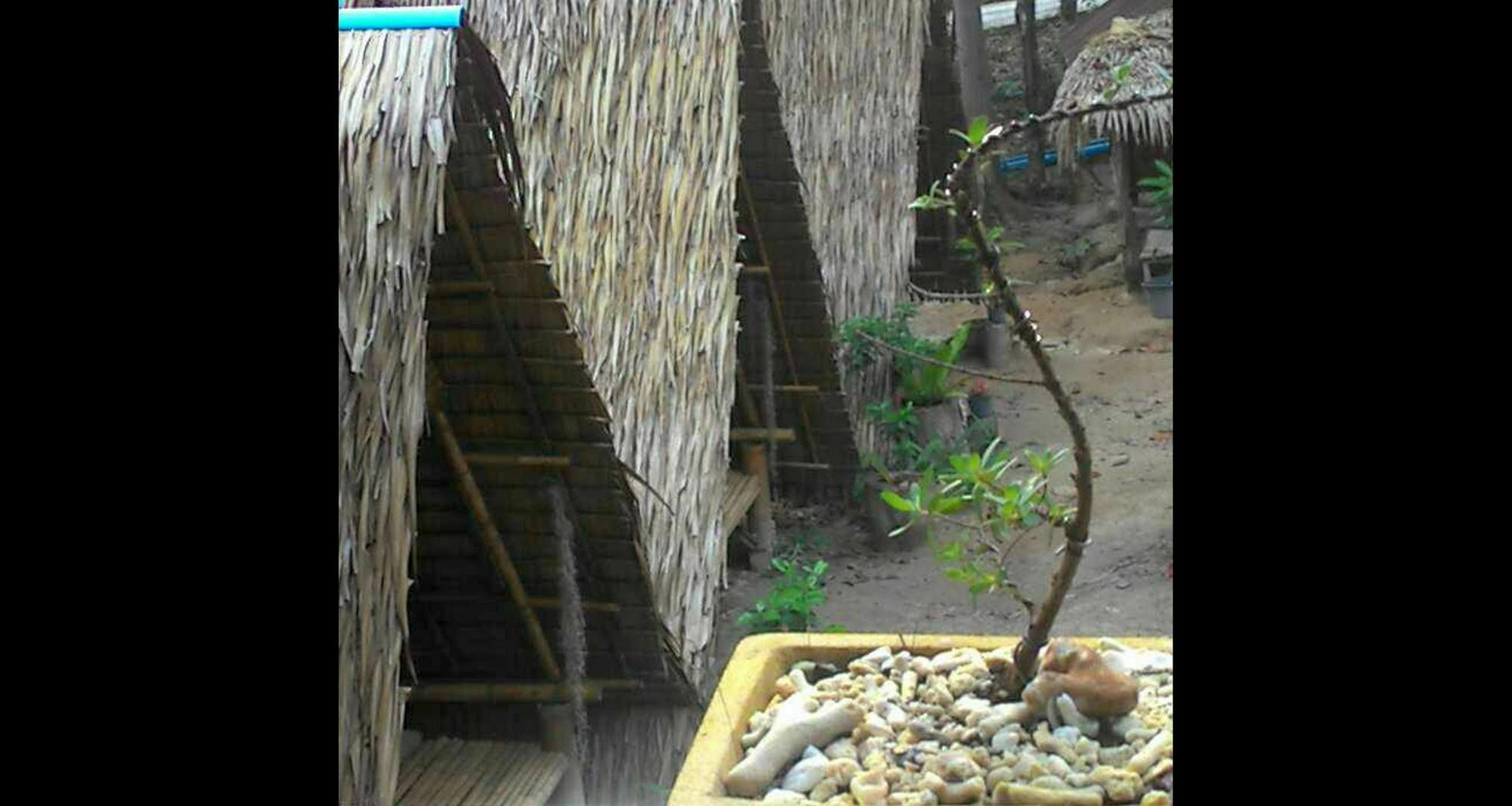 Lipe Camping Zone Екстериор снимка